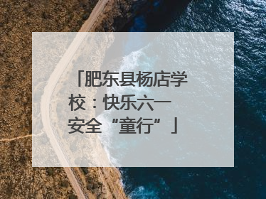 肥东县杨店学校：快乐六一 安全“童行”