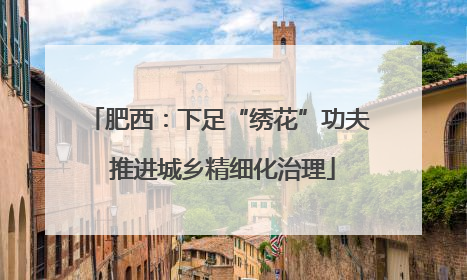 肥西：下足“绣花”功夫 推进城乡精细化治理
