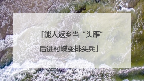 能人返乡当“头雁” 后进村蝶变排头兵