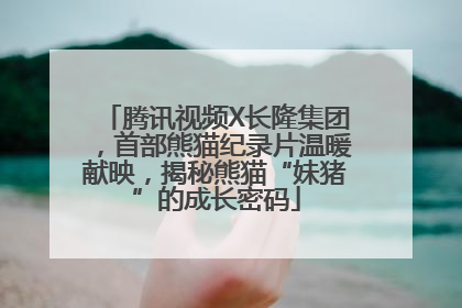腾讯视频X长隆集团，首部熊猫纪录片温暖献映，揭秘熊猫“妹猪”的成长密码
