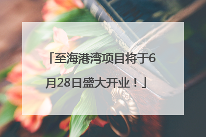 至海港湾项目将于6月28日盛大开业！