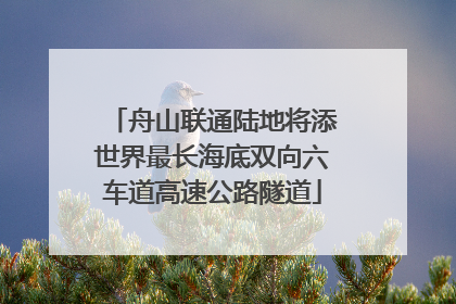舟山联通陆地将添世界最长海底双向六车道高速公路隧道