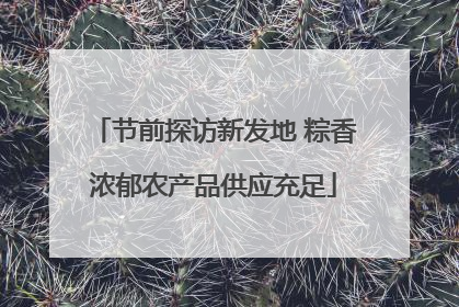 节前探访新发地 粽香浓郁农产品供应充足