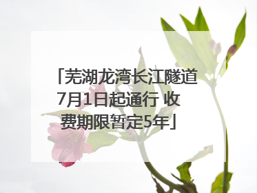 芜湖龙湾长江隧道7月1日起通行 收费期限暂定5年