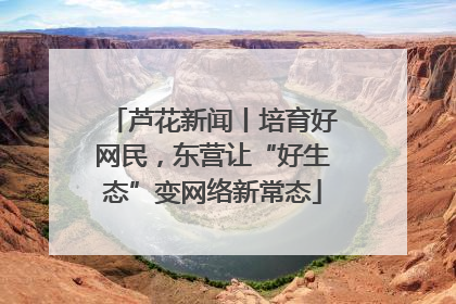 芦花新闻丨培育好网民，东营让“好生态”变网络新常态