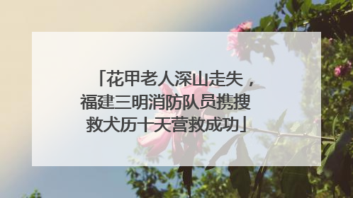 花甲老人深山走失，福建三明消防队员携搜救犬历十天营救成功