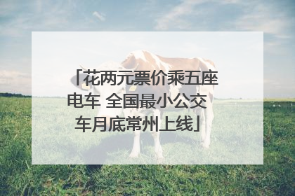 花两元票价乘五座电车 全国最小公交车月底常州上线