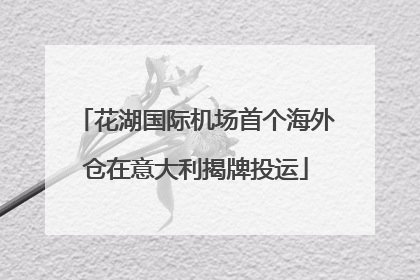 花湖国际机场首个海外仓在意大利揭牌投运