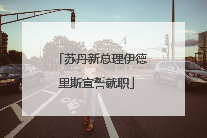 苏丹新总理伊德里斯宣誓就职