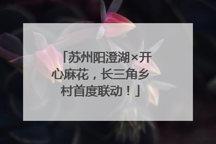 苏州阳澄湖×开心麻花，长三角乡村首度联动！