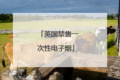 英国禁售一次性电子烟
