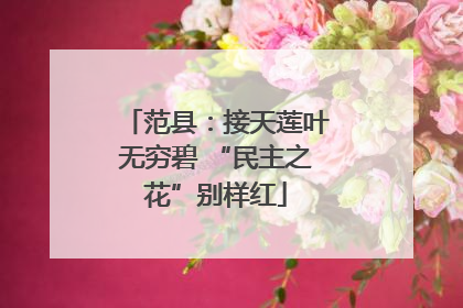 范县：接天莲叶无穷碧 “民主之花”别样红