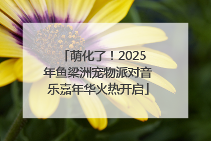 萌化了！2025年鱼梁洲宠物派对音乐嘉年华火热开启