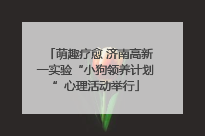 萌趣疗愈 济南高新一实验“小狗领养计划”心理活动举行