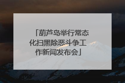 葫芦岛举行常态化扫黑除恶斗争工作新闻发布会