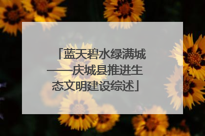 蓝天碧水绿满城——庆城县推进生态文明建设综述