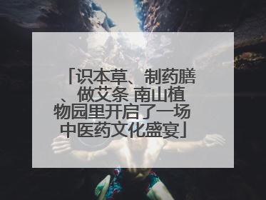 识本草、制药膳、做艾条 南山植物园里开启了一场中医药文化盛宴