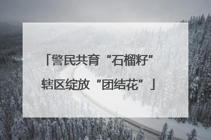 警民共育“石榴籽” 辖区绽放“团结花”
