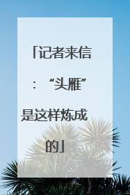 记者来信：“头雁”是这样炼成的