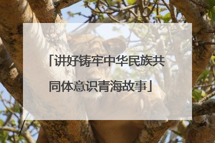 讲好铸牢中华民族共同体意识青海故事