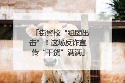 街警校“组团出击”！这场反诈宣传“干货”满满