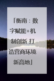 衡南：数字赋能+机制创新 打造营商环境新高地