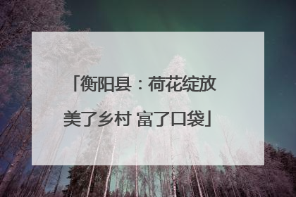 衡阳县：荷花绽放 美了乡村 富了口袋