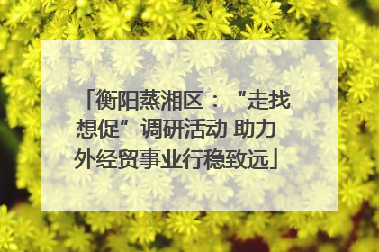 衡阳蒸湘区：“走找想促”调研活动 助力外经贸事业行稳致远