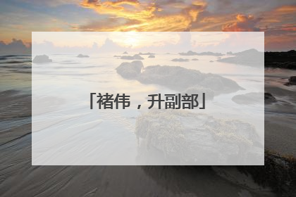 褚伟，升副部