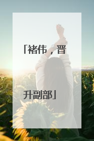 褚伟，晋升副部