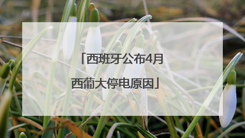 西班牙公布4月西葡大停电原因