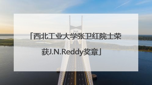 西北工业大学张卫红院士荣获J.N.Reddy奖章