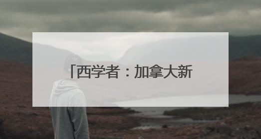 西学者：加拿大新政带给欧洲的启示