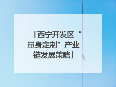 西宁开发区“量身定制”产业链发展策略