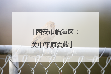 西安市临潼区：关中平原夏收