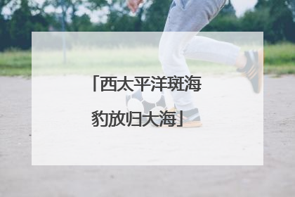 西太平洋斑海豹放归大海
