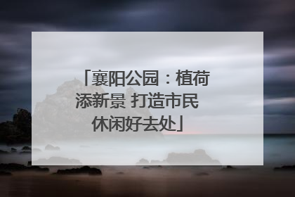 襄阳公园：植荷添新景 打造市民休闲好去处