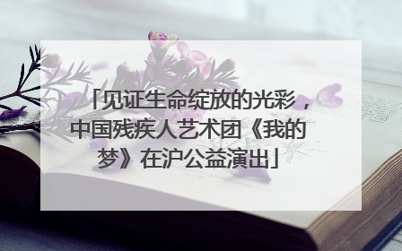见证生命绽放的光彩，中国残疾人艺术团《我的梦》在沪公益演出