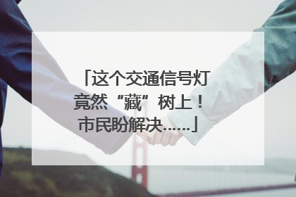 这个交通信号灯竟然“藏”树上！市民盼解决……