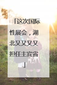 这次国际性展会，湖北又又又又担任主宾省