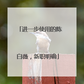 进一步使用的陈白薇，新职明确