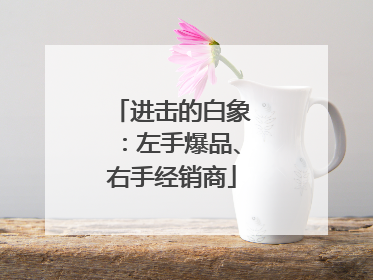 进击的白象：左手爆品、右手经销商