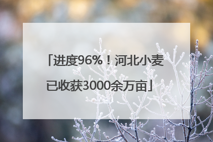 进度96%！河北小麦已收获3000余万亩
