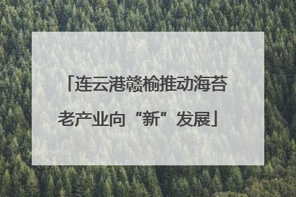 连云港赣榆推动海苔老产业向“新”发展