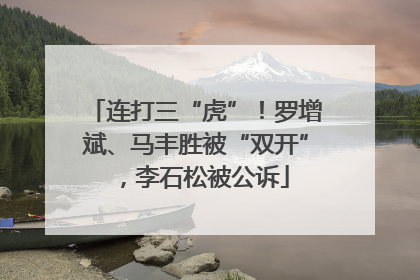 连打三“虎”！罗增斌、马丰胜被“双开”，李石松被公诉
