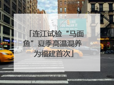 连江试验“马面鱼”夏季高温混养 为福建首次