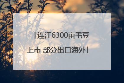 连江6300亩毛豆上市 部分出口海外