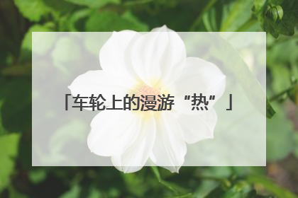 车轮上的漫游“热”