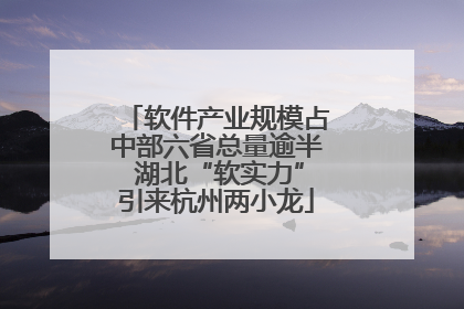 软件产业规模占中部六省总量逾半 湖北“软实力”引来杭州两小龙