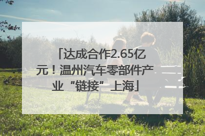 达成合作2.65亿元！温州汽车零部件产业“链接”上海